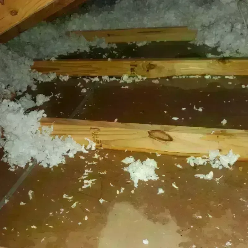 Attic Water Damage in Garfield County, UT