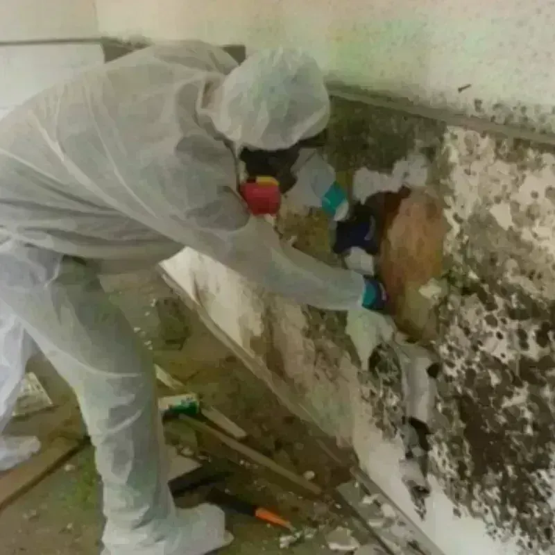 Mold Remediation and Removal in Garfield County, UT