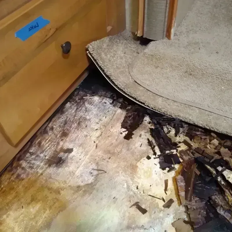 Best Wood Floor Water Damage Service in Garfield County, UT